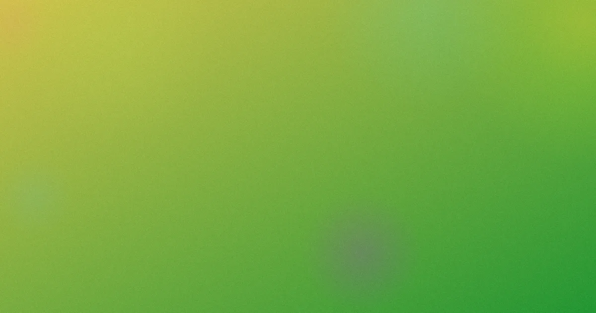 99热思思推荐吗？新手看四项对比